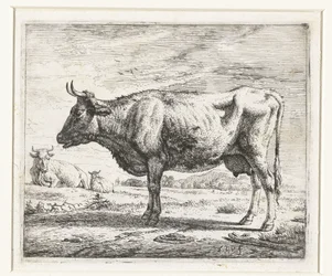 Zwei Kühe und ein Schaf (Verschiedene Tiere)