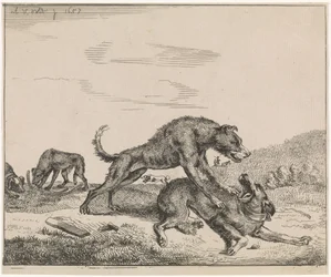 Kämpfende Hunde (Serientitel: Vieh)
