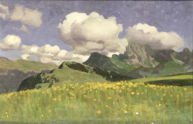 Ein Feld mit Ringelblumen, Niedere Alpen, 1902