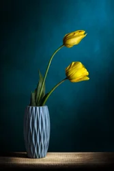 Elegante gelbe Tulpen