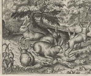 Fabel von den Hasen und den Fröschen