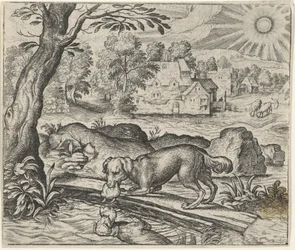 Fabel vom Hund und seinem Spiegelbild