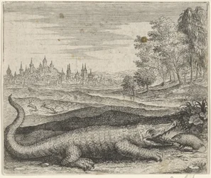 Fabel vom Krokodil und Mungo