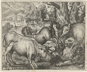 Fabel vom alten Löwen