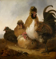 Ein Hahn und Hennen
