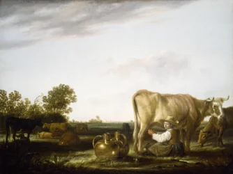 Kühe melken
