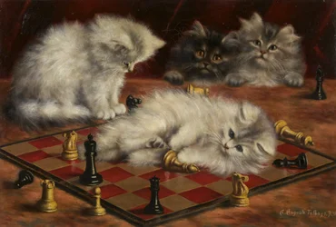 Katzen mit einem Schachbrett