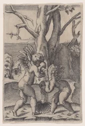Zwei Cupidos, ca. 1519