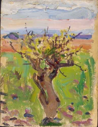 Zwergbaum in der Wüste