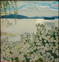 Weiße Rosen