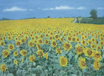 Feld mit Sonnenblumen, 2002