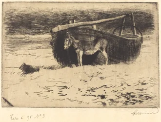 Kleiner Esel in Berck