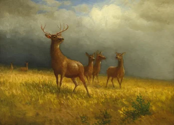 Drei Hirsche und ein Hirsch