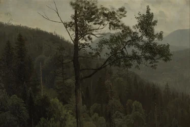 Baumbedeckte Berge