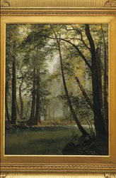 Yosemite-Tal, Kalifornien