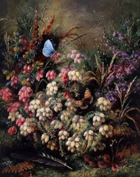 Schmetterling in den Heidekraut