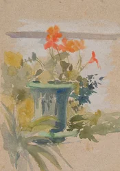 Pelargonien auf der Terrasse