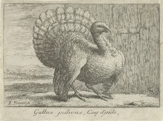 Landschaft mit Truthahn