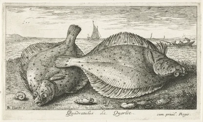 Zwei Schollen am Strand