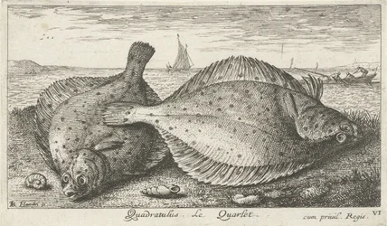 Zwei Schollen am Strand