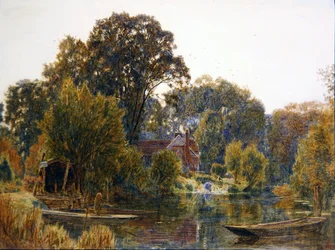 Espen im Herbst