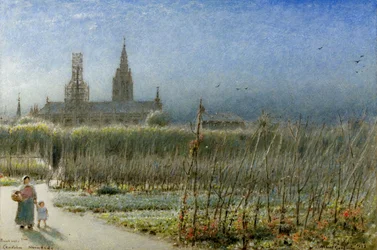 Französische Bohnen aus Caudebec, Normandie