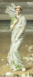 Meeresmuscheln, 1875