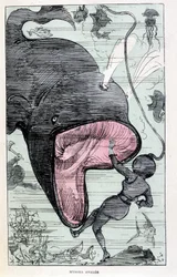 Frau in einem Tauchanzug wird von einem Wal verschluckt, Parodie auf Jules Verne, „Sehr außergewöhnliche Reisen des Saturnin Farandoul in 5 oder 6 Teilen der Welt und in allen Ländern, bekannt oder unbekannt von M. Jules Verne“ von Robida, Paris