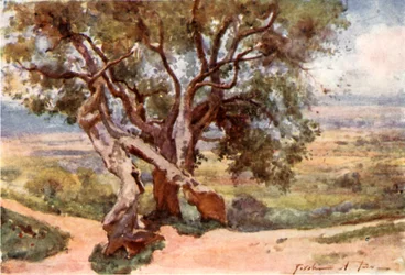Campagna Romana, von Tivoli