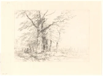 Studie von Eichen in einer Landschaft