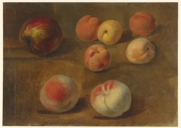 Stillleben mit Apfel, Pfirsichen und Aprikosen