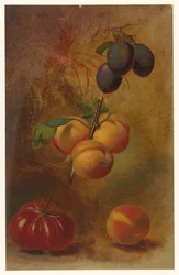 Stillleben mit Pflaumen, Aprikosen und Tomate