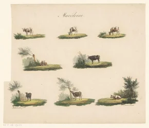 Kühe in Landschaft