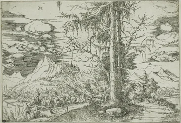Landschaft mit einer doppelten Fichte