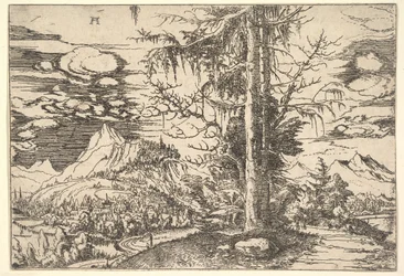 Landschaft mit einer doppelten Fichte