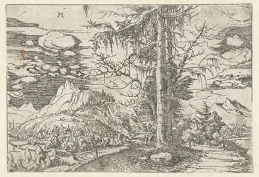 Landschaft mit doppelter Fichte