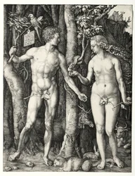 Adam und Eva, 1504