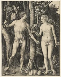 Adam und Eva, 1504