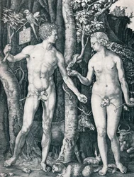 Adam und Eva, 1504