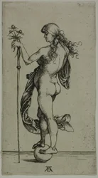 Fortuna