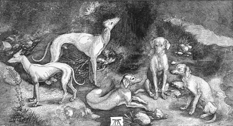 Hundegruppe. Aus dem Kupferstich „Der heilige Eustachius“ von A. Dürer, um 1500, 1906