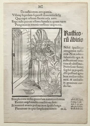 Narrenschiff, nach 1497