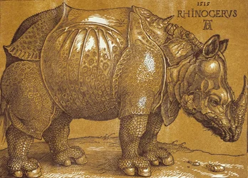 Das Nashorn, 1515