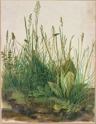 Großer Rasenstück