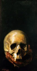 Der Schädel