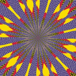 Sonnenblume