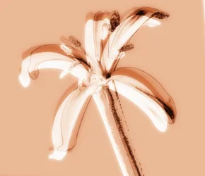 Ohne Titel, 2019