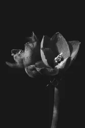 Ohne Titel