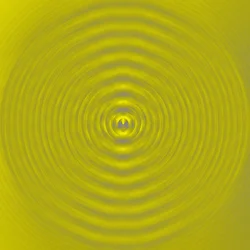 Vibrationen, 2019