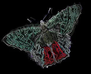Schmetterling V, 2020